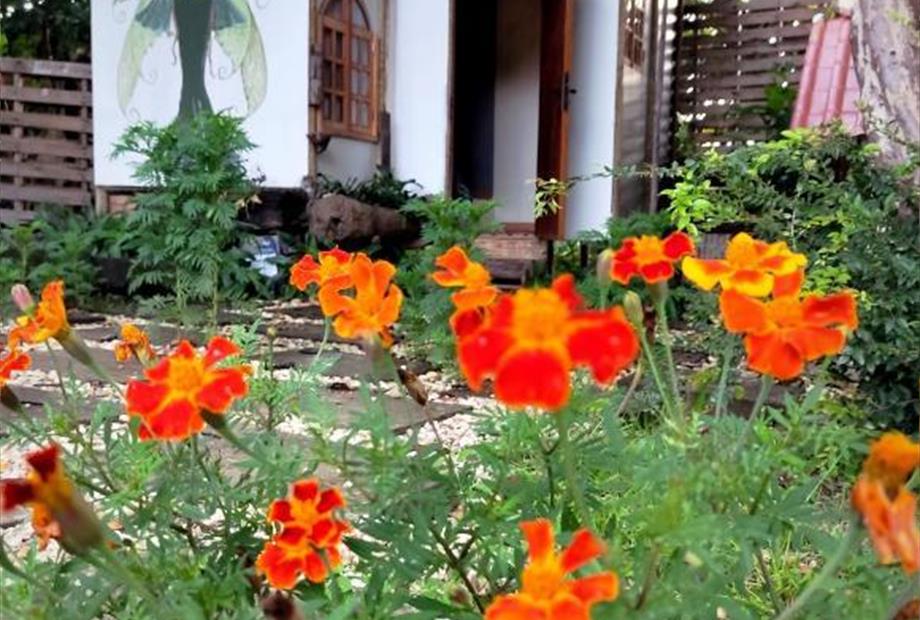 Casa de 7 Quartos-31.jpg