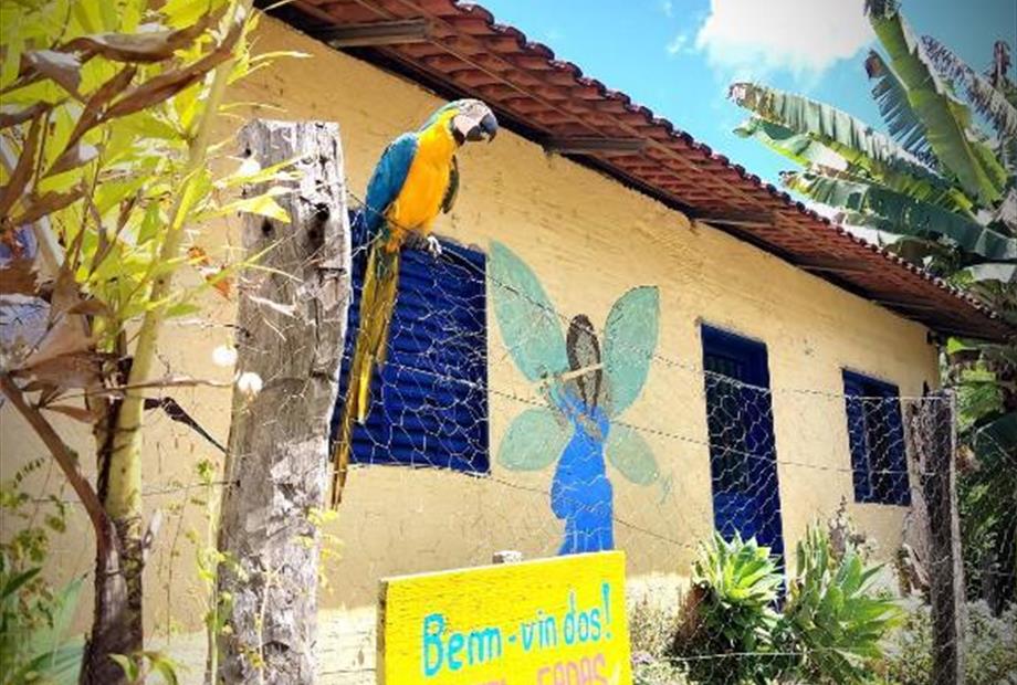 Casa de 7 Quartos-54.jpg