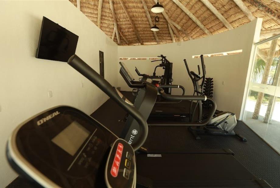 captura de tela 2024-01-24 113815.jpg