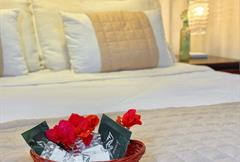 Categoria econômica