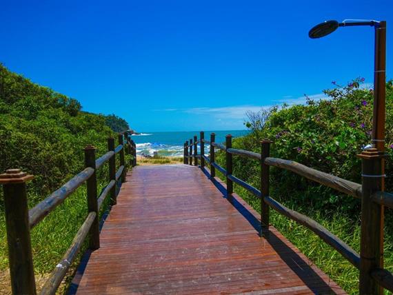 img_8009 grande.jpeg