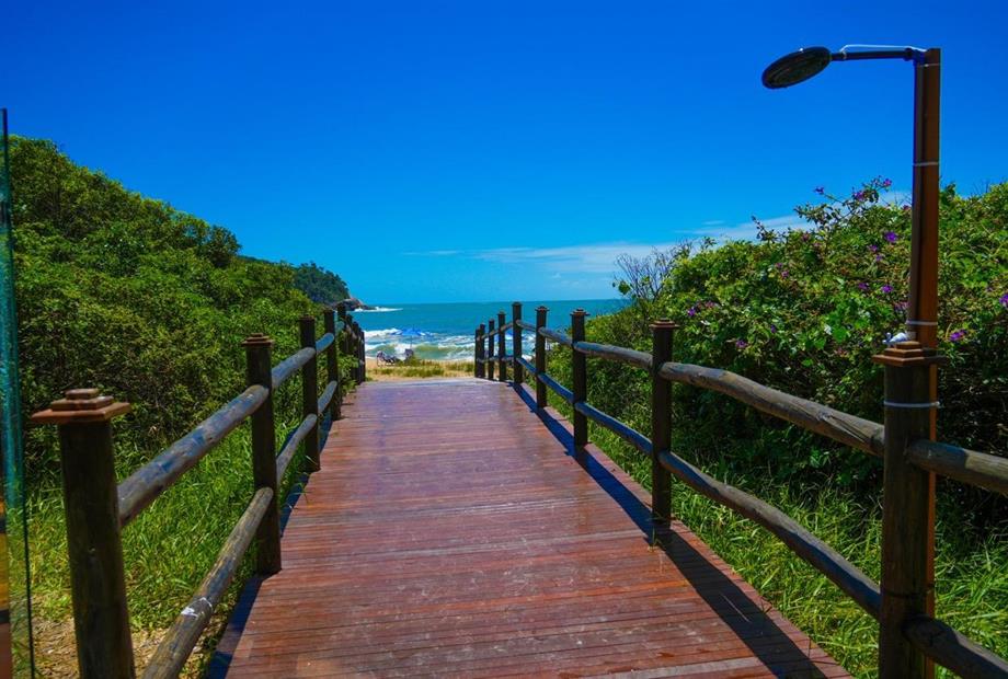 img_8009 grande.jpeg