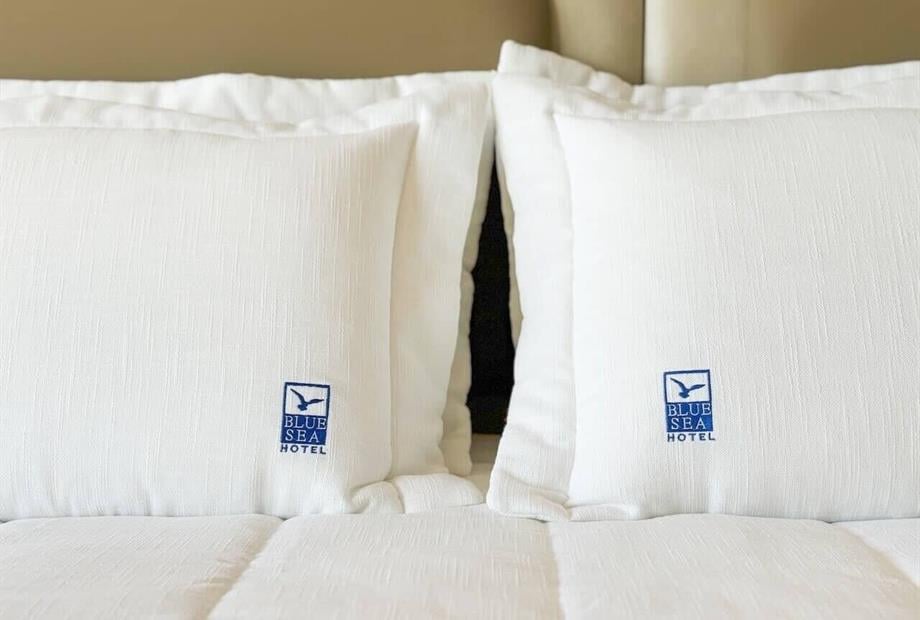 cópia de img_7666_jpg.jpeg