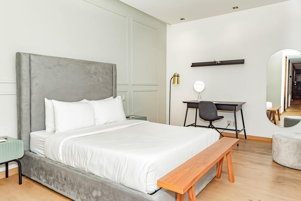 Zip Housing Polanco 5