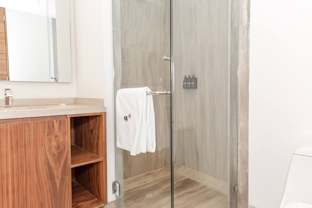 Zip Housing Polanco 6