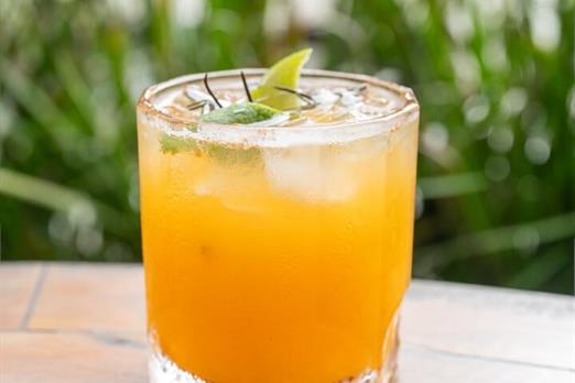 whatsapp image 2025-04-04 at 12.02.24.jpeg