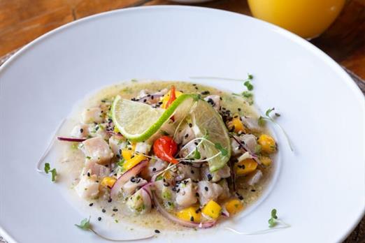 whatsapp image 2025-04-04 at 12.55.03.jpeg