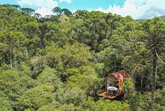 Tiny House Sobre as Arvores