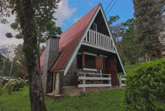 Chale do Pinho Bravo 6