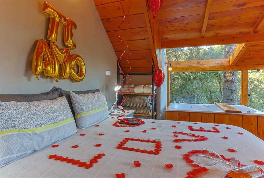 whatsapp image 2024-06-27 at 16.56.44.jpeg