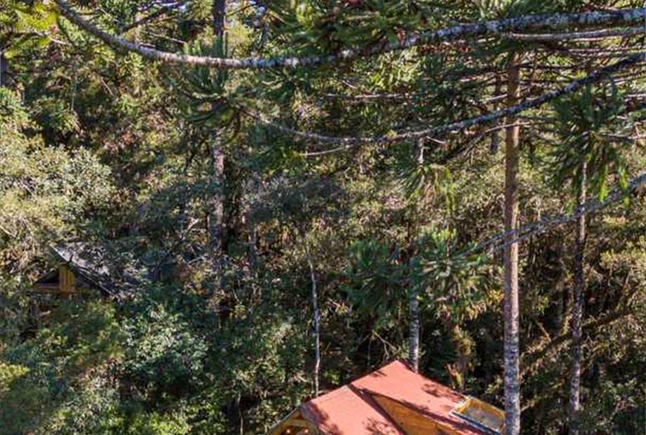 whatsapp image 2024-06-27 at 16.56.53.jpeg