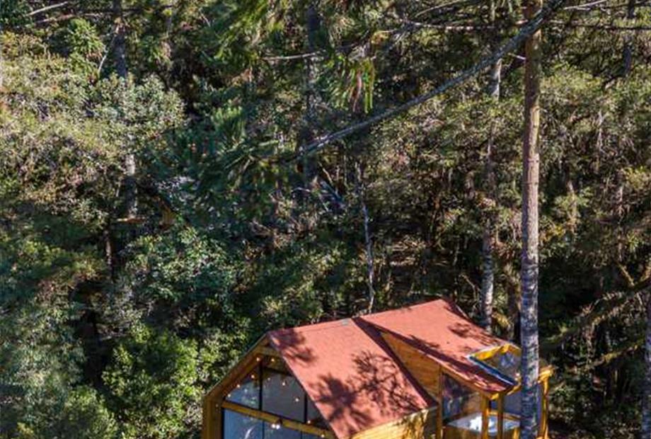 whatsapp image 2024-06-27 at 16.56.55.jpeg