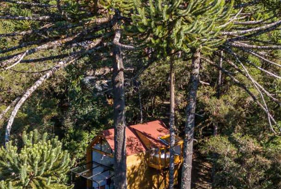 whatsapp image 2024-06-27 at 16.56.54.jpeg