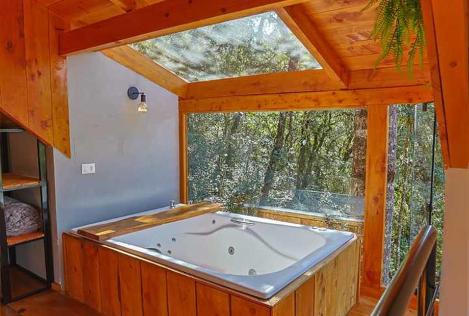 whatsapp image 2024-06-27 at 16.56.40.jpeg