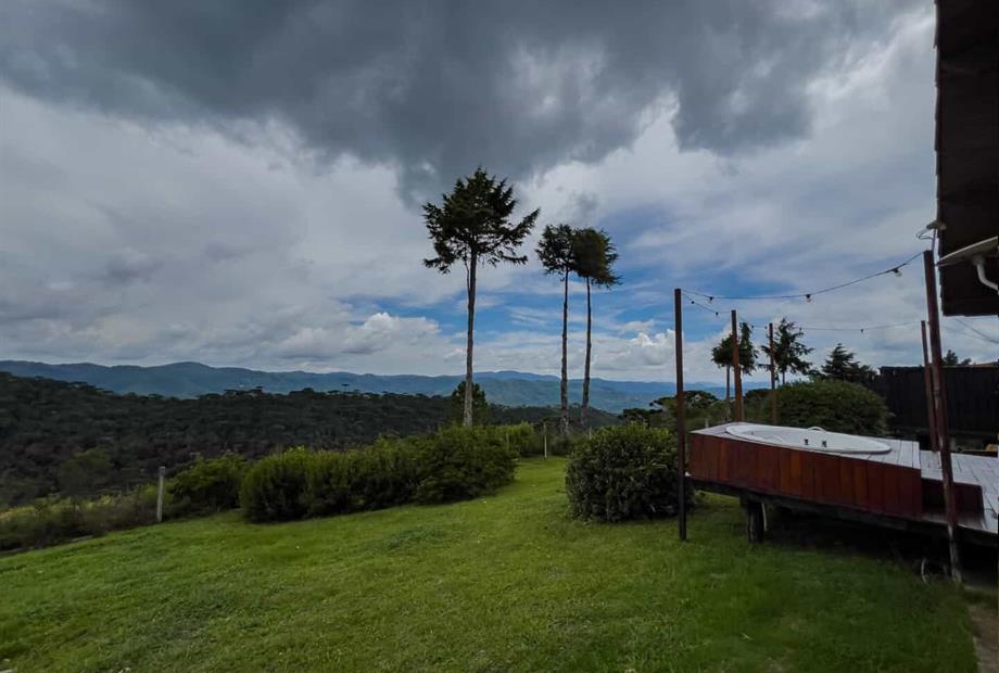 whatsapp image 2025-02-18 at 11.03.29 (2).jpeg