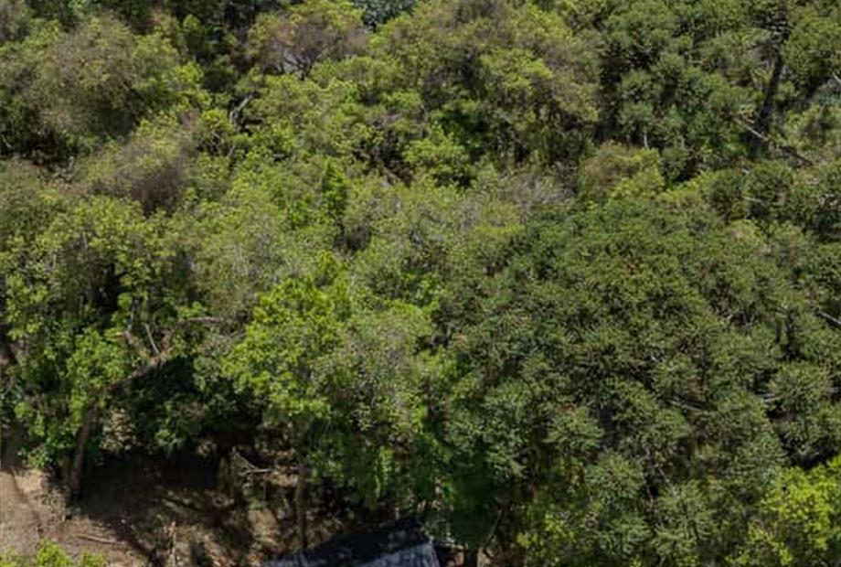 whatsapp image 2025-02-19 at 14.12.46.jpeg