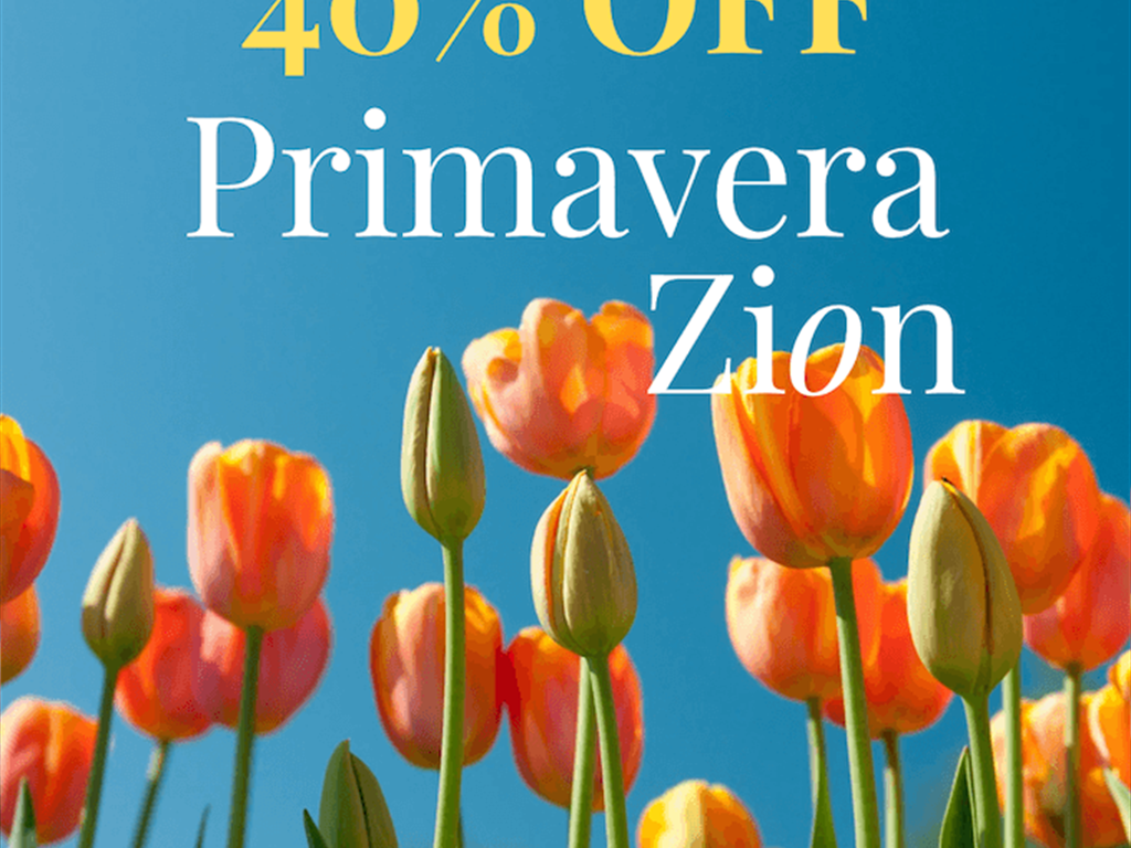 Primavera Zion 40% OFF