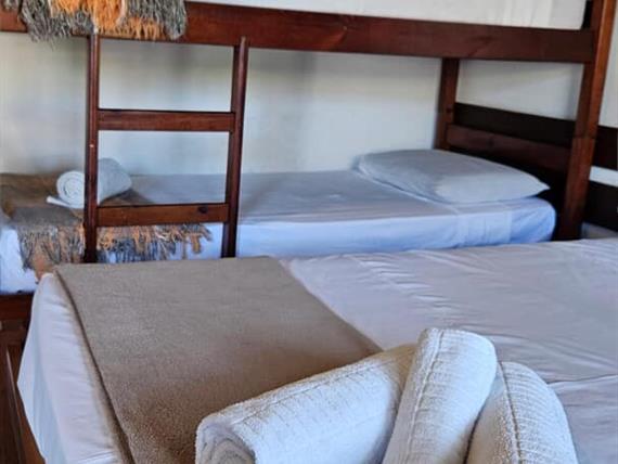 adobe express - file (3).jpg