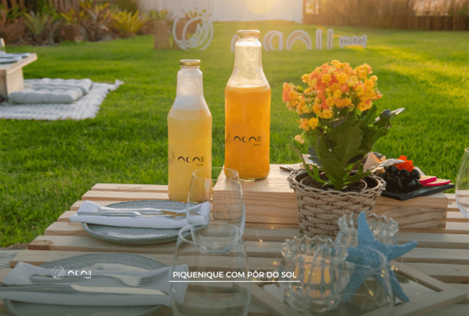 omnibees (640 x 480 px) (47).png