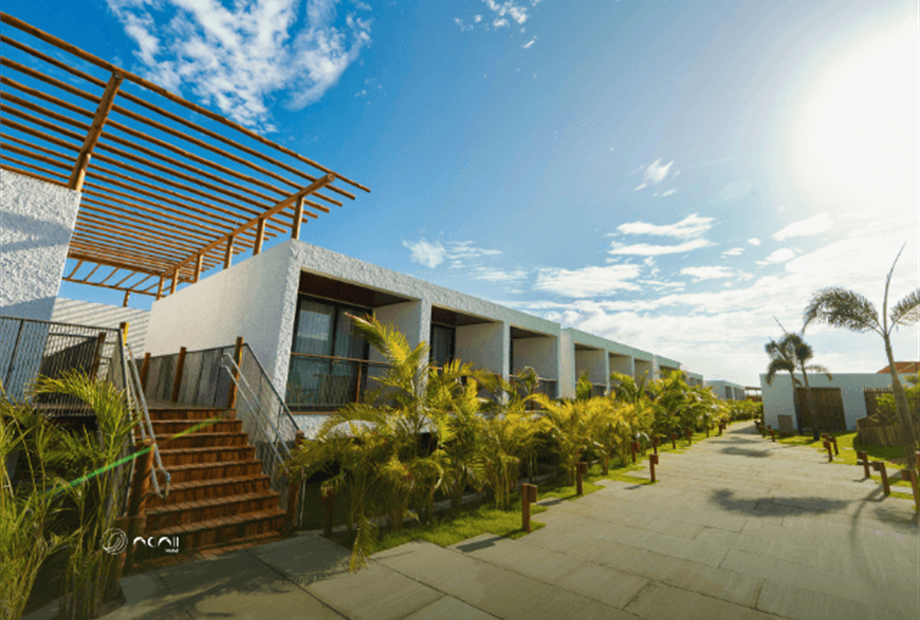 omnibees (640 x 480 px) (43).png