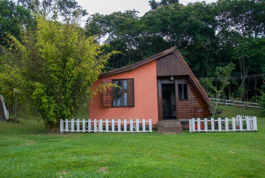 faisão dourado (1) _easy-resize.com.jpg