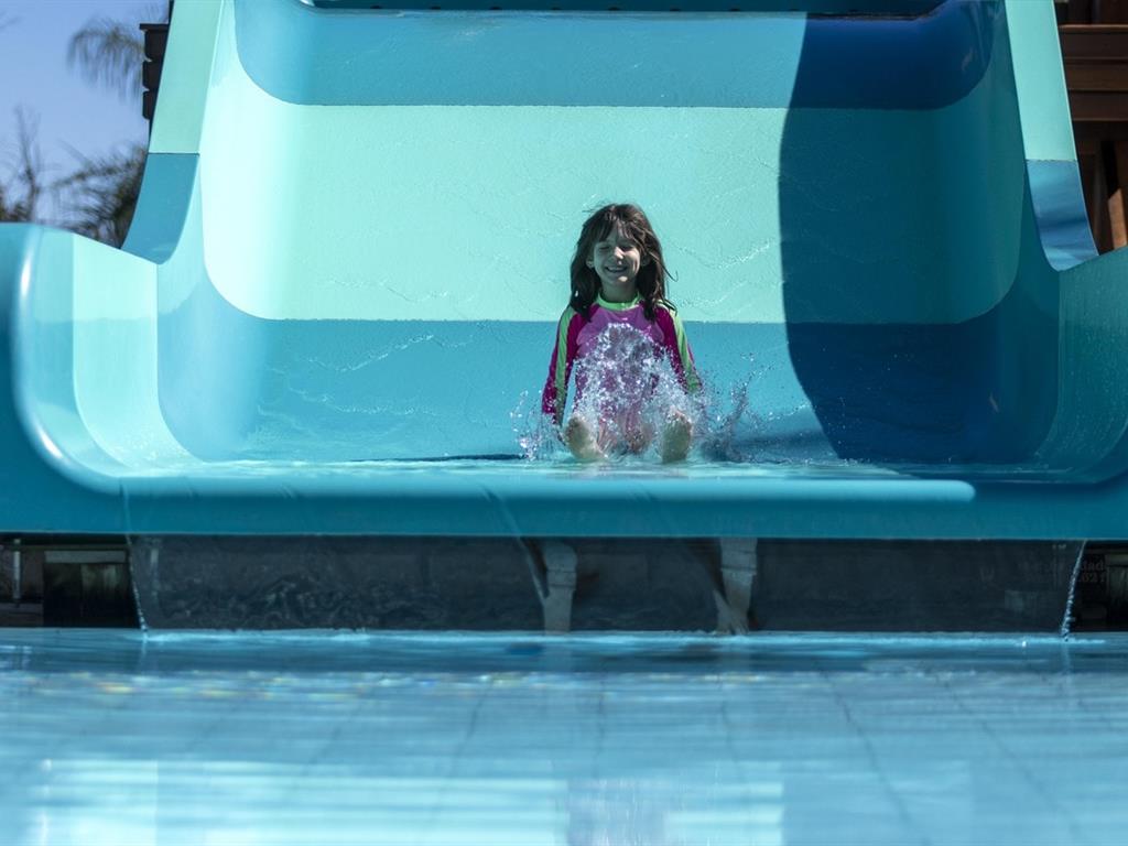 CONSCIENCIA NEGRA 2026