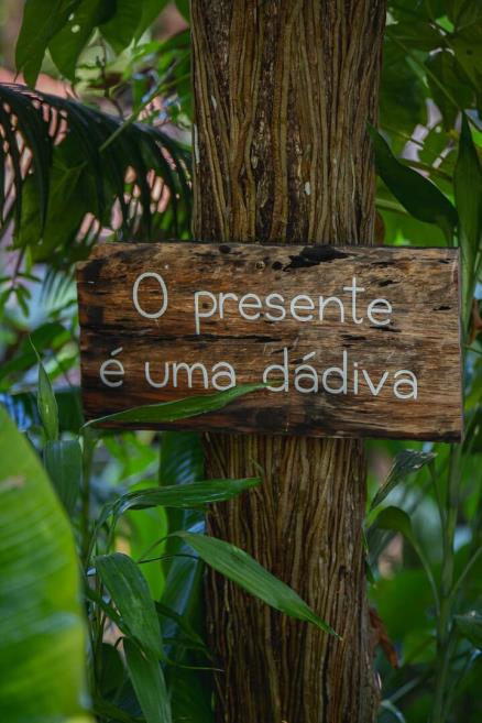 jardim 1.jpg