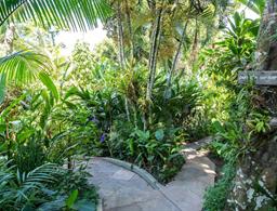 Pousada do Bosque - Trancoso