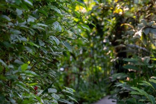 whatsapp image 2024-05-28 at 15.23.30 (1).jpeg