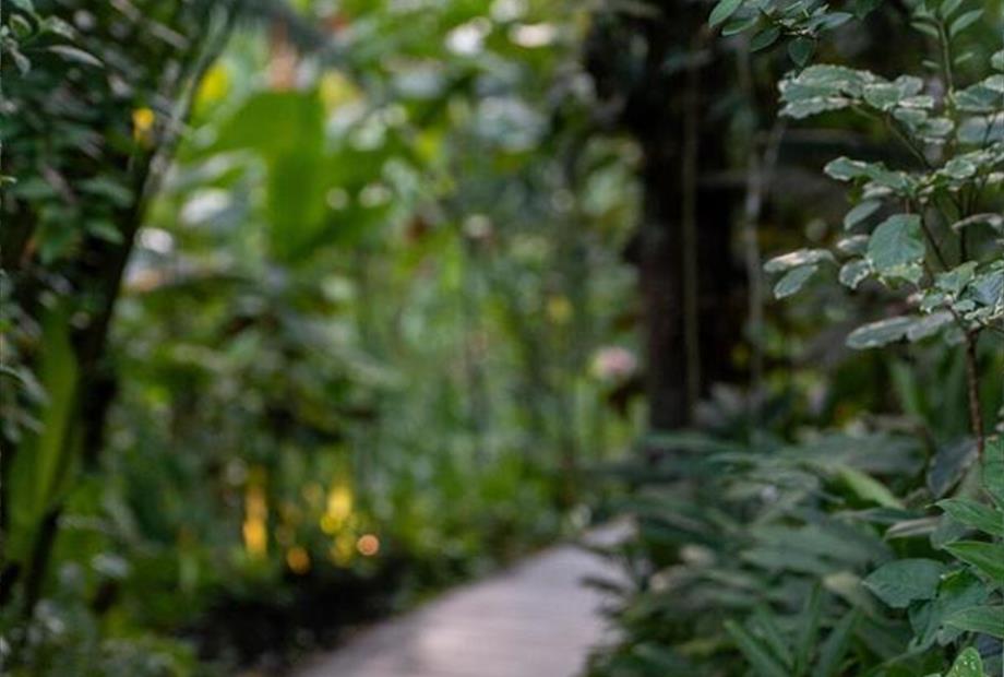 whatsapp image 2024-05-28 at 15.23.29.jpeg