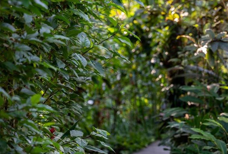 whatsapp image 2024-05-28 at 15.23.30 (1).jpeg