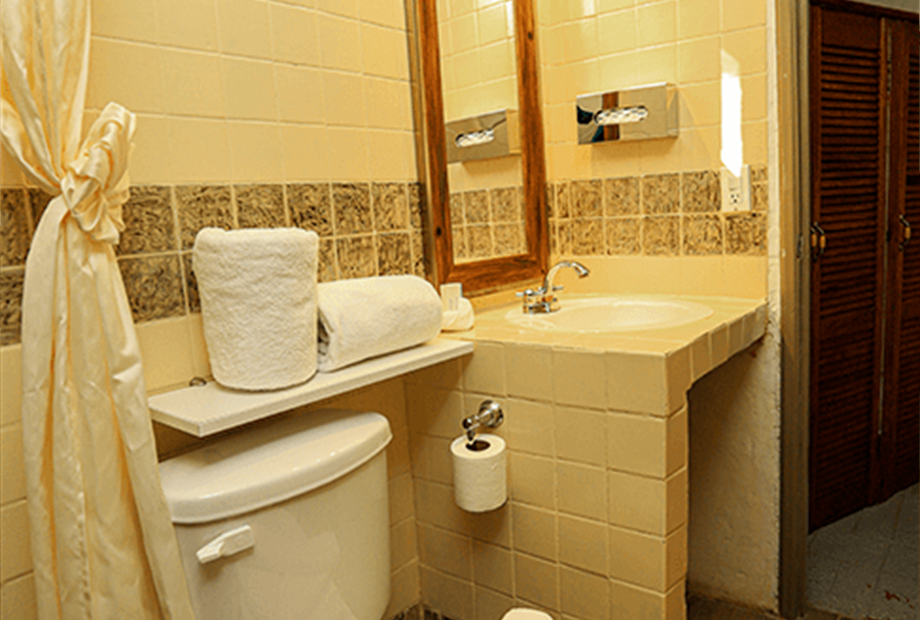 hab. premium - baño 1mb.png