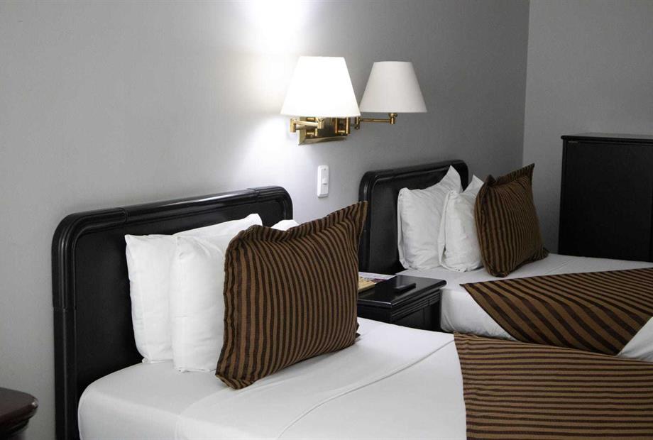 whatsapp image 2024-01-17 at 8.37.35 am(1).jpeg