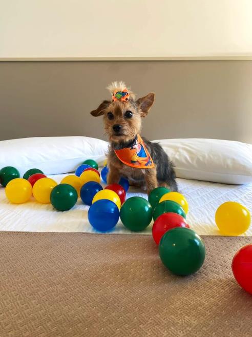 whatsapp image 2025-06-29 at 22.21.55 (1).jpeg