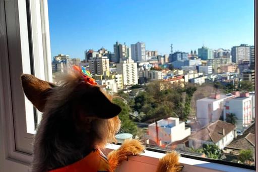 whatsapp image 2025-06-29 at 22.21.54 (1).jpeg