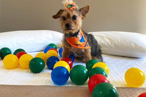 whatsapp image 2025-06-29 at 22.21.55 (1).jpeg