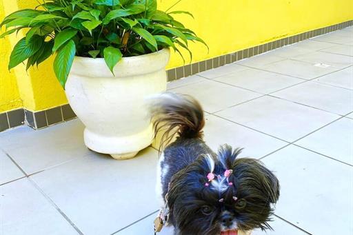 whatsapp image 2025-06-29 at 22.21.54.jpeg