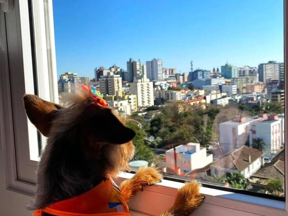 whatsapp image 2025-06-29 at 22.21.54 (1).jpeg