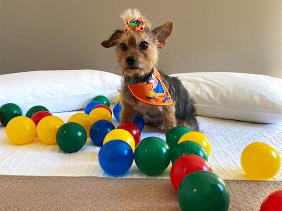 whatsapp image 2025-06-29 at 22.21.55 (1).jpeg