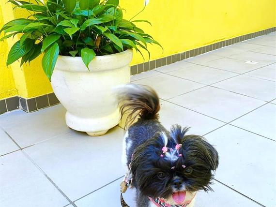 whatsapp image 2025-06-29 at 22.21.54.jpeg