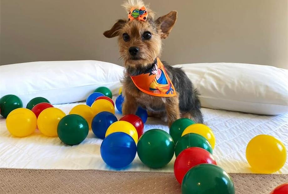 whatsapp image 2025-06-29 at 22.21.55 (1).jpeg