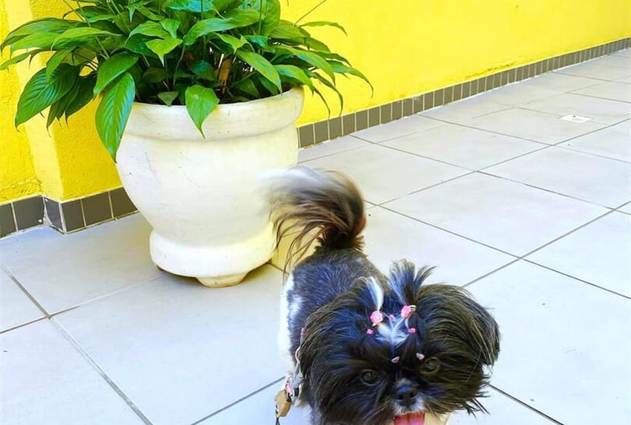 whatsapp image 2025-06-29 at 22.21.54.jpeg