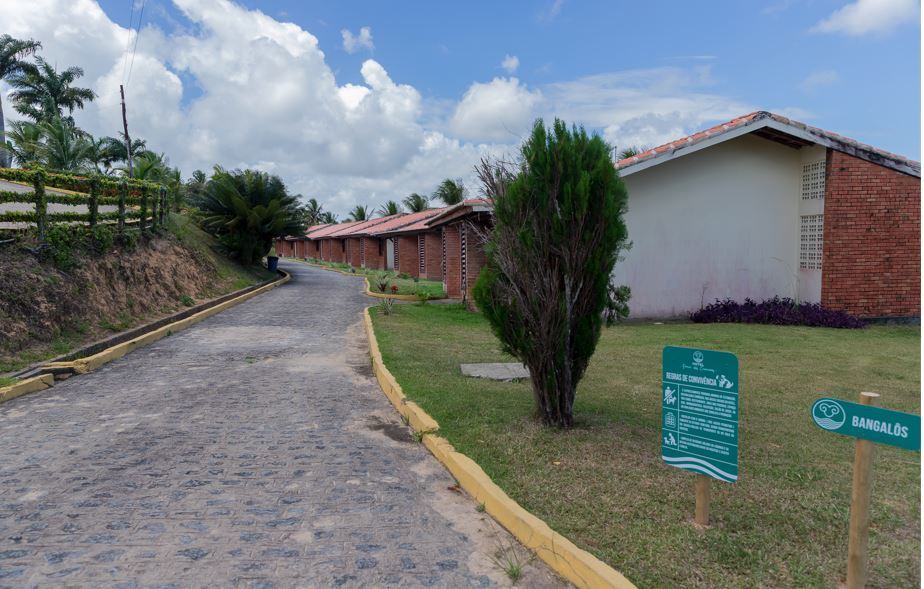 855145.jpg