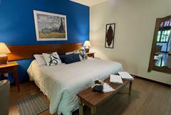 Suite com lareira e hidro tradicional