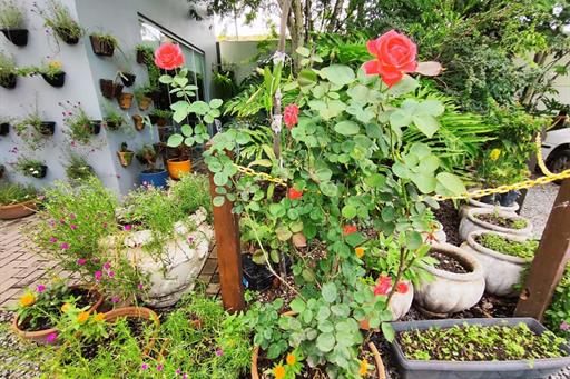 whatsapp image 2024-05-23 at 16.39.15 (1).jpeg