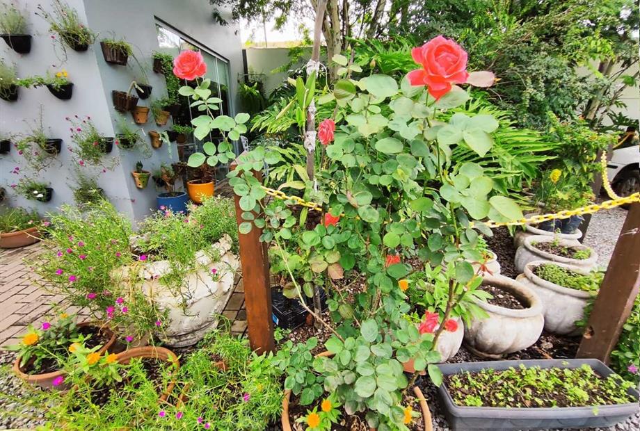 whatsapp image 2024-05-23 at 16.39.15 (1).jpeg