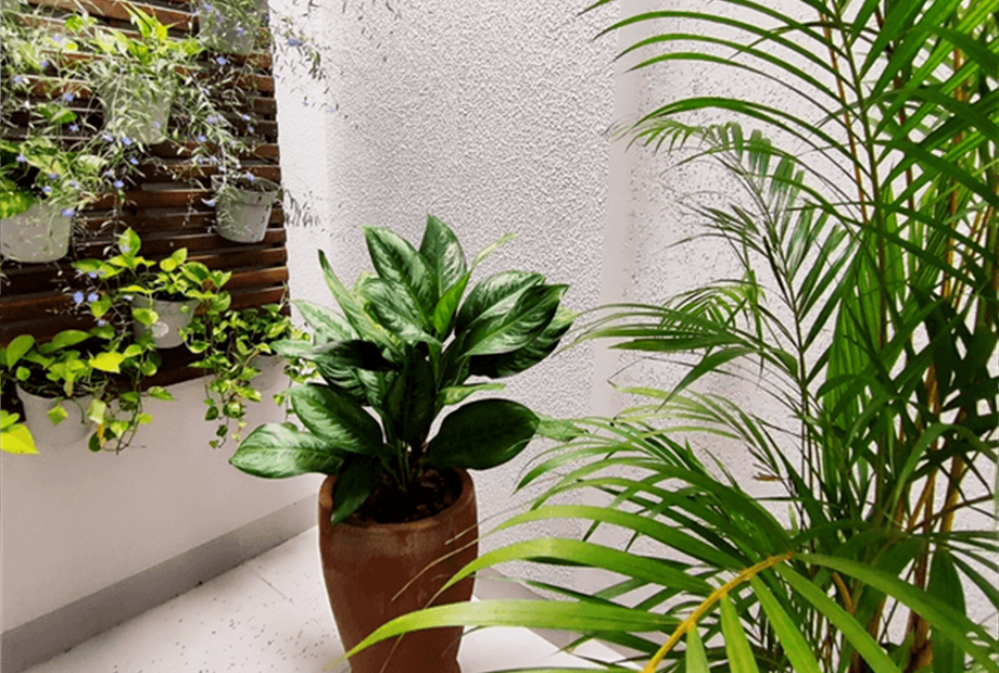 1709092012470-1-1536x2048-_1_ (1) (1).png