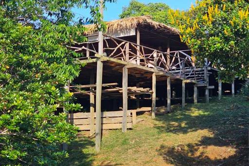 whatsapp image 2024-05-22 at 08.54.23.jpeg