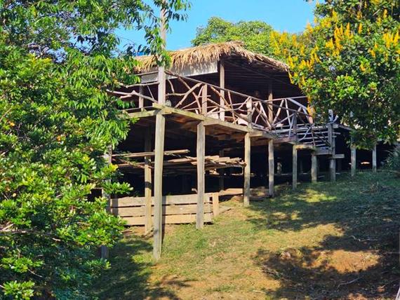 whatsapp image 2024-05-22 at 08.54.23.jpeg