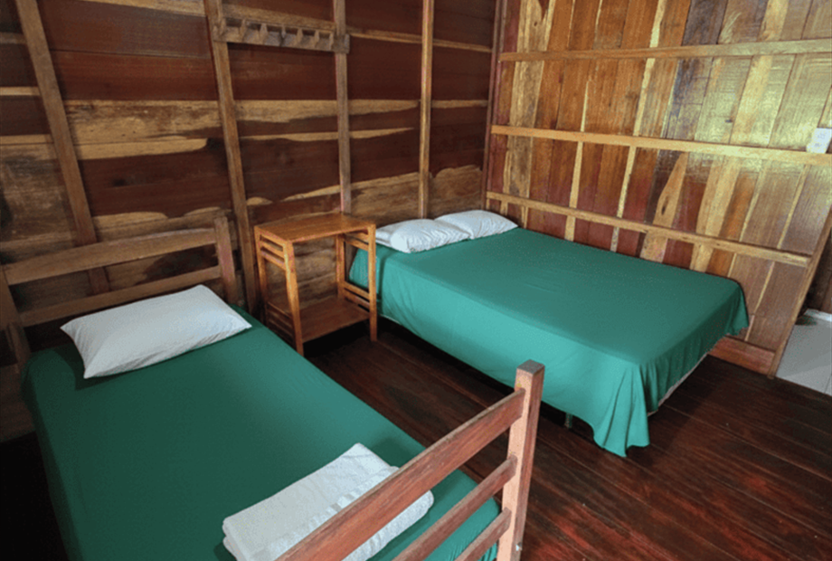 wmremove-transformed (1) (1).png